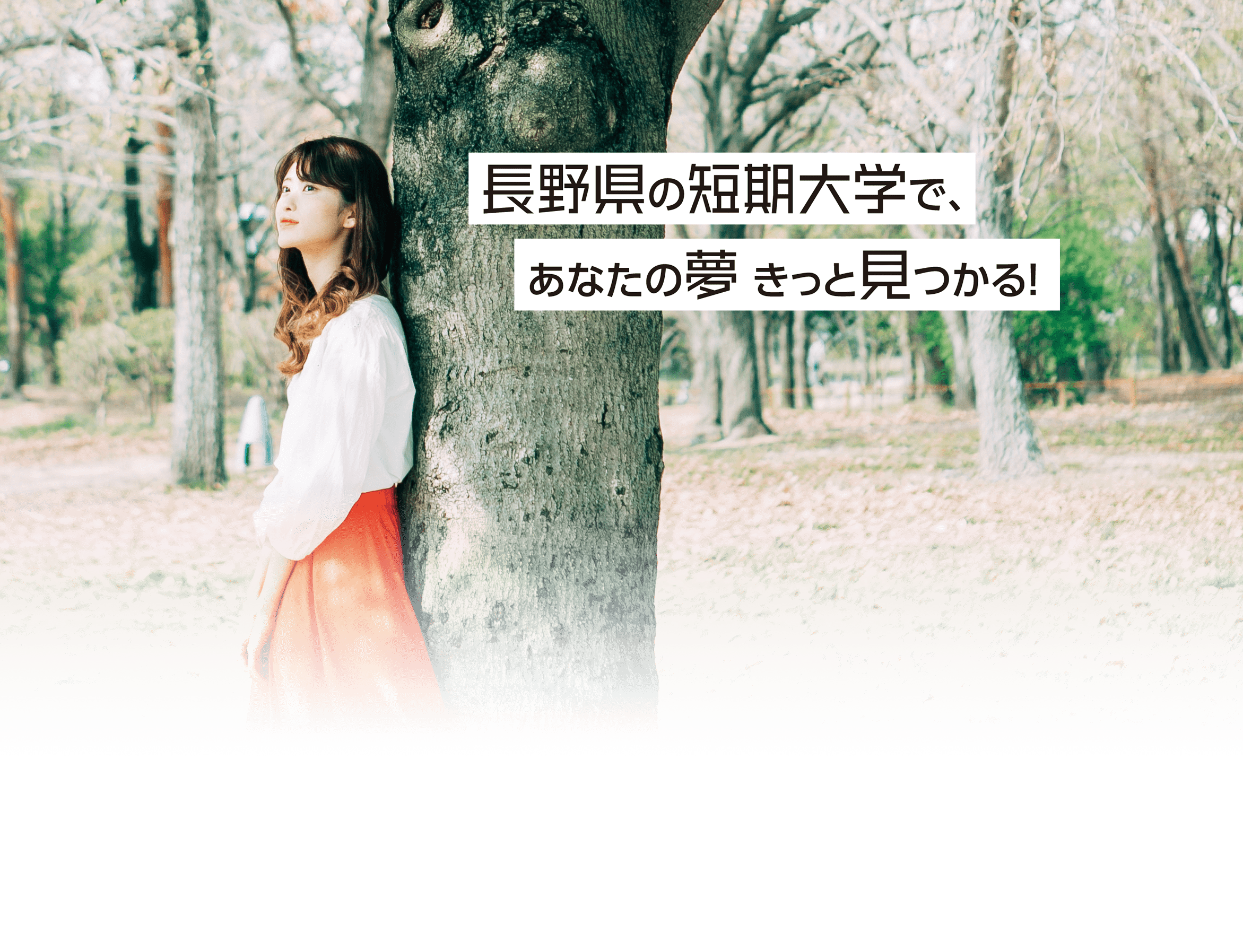 樹木の多い公園で上を見上げ微笑む女性。長野県の短期大学で、あなたの夢きっと見つかる！